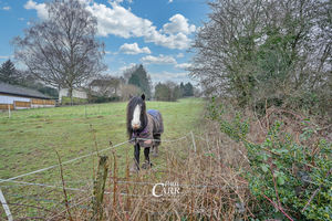 Photo 31- click for photo gallery